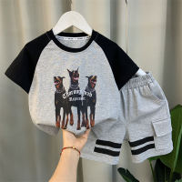 Boys Summer Suit 2023 New Fashion Baby Summer Fashion Short-Sleeved Clothes Childrens Summer Ruoshuai Childrens Clothing