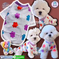 ??พร้อมส่ง?? เสื้อผ้านิ่มลายหมีหลายสี แต่งขอบม่วง น่ารักมากจ้า For PET เสื้อสุนัข เสื้อหมา เสื้อแมว