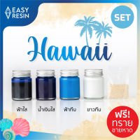 สีผสมเรซิ่น HAWAII SET  (ส่งฟรี) เมทัลลิคประกาย สีสด ใช้กับเรซิ่นทุกชนิด-Easy Resin