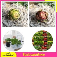 2pcs faux artichokes อาร์ติโช้คปลอมโมเดลการตกแต่งอาติโช๊คเทียม