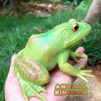 Animal Kingdom - โมเดล Frog กบ เขียว ขนาด 13.50 CM (จากสงขลา)