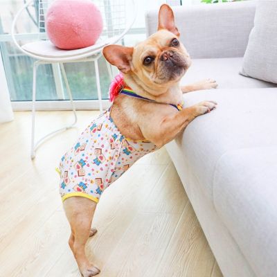 [COD] Female Dog Physiological Pants Schnauzer Menstrual Aunt Small Safety Period Sanitary Napkin