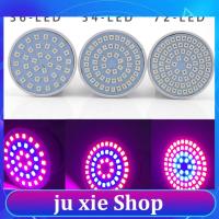 JuXie store 110V 36/54/72 LED Plant Grow Light Lamps Indoor Cultivo Flower Red Blue Growing Light For Hydro Growbox Fitolampy