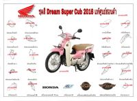 ชุดสี Dream Super Cub แท้ศูนย์ 2017 ทุกชิ้น ชุดสีดรีม ซุปเปอร์คัพ ตัวดรีมสีชมพูเดิมติดรถจากศูนย์ ลิงค์นี่สำหรับสีชมพู อะไหล่แท้ศูนย์