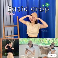 Basic crop เสื้อครอปไหมพรมคอวีปกโปโล(โค้ดส่วนลดดู Update หน้าร้าน)