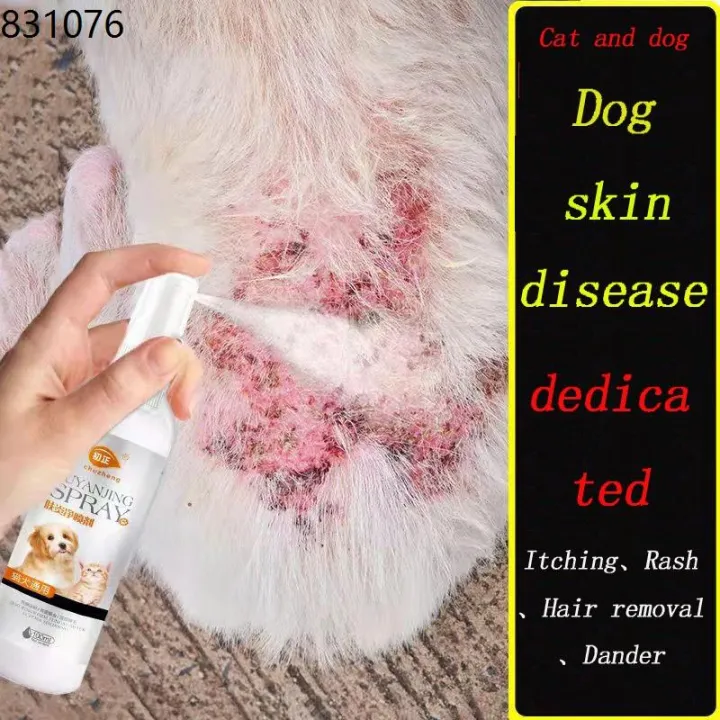 pet skin disease dog and cat skin disease spray antifungal effect fast
