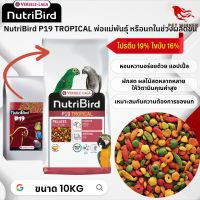 NutriBird P19 tropical 10kg (อาหารเม็ดสำเร็จรูป นกปากขอเตรียมความพร้อมเป็นพ่อแม่พันธุ์หรือผลัดขน)