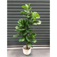 ?สินค้าขายดี? [สูง 80 cm,Free Size]ต้นไทรใบสักใบเล็กปลอม ต้นไม้ปลอม ( ARTIFICIAL TREE )