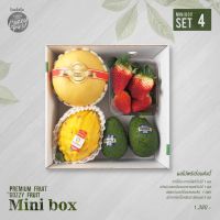 ส่งฟรี ชุดกล่องผลไม้รวม Mini box set 4