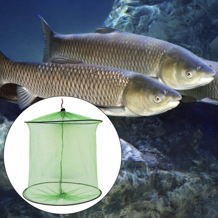 Nauid Fishing Folding Mesh Cage Lobster Shrimp Crawfish Trap Fish Crabs