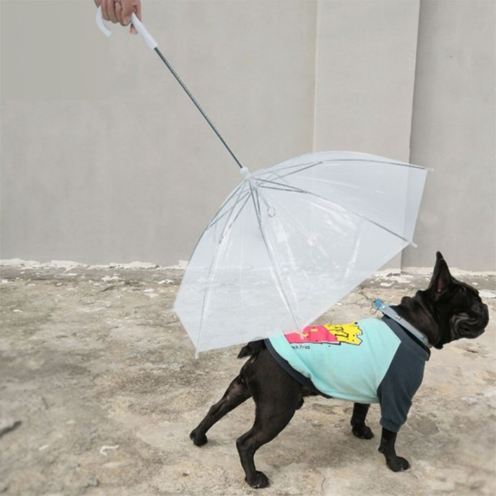 ร่มสุนัขสำหรับร่มสัตว์เลี้ยงสุนัขขนาดเล็กถึงขนาดกลางพร้อมสายจูงสำหรับฝนหรือวันที่หิมะตก