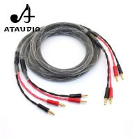 Hifi Banana Jack to Banana Jack Speaker Cable 4N Pure Copper Speaker Wire With Banana Plugs