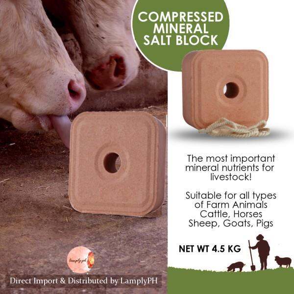 Warsan Compressed Mineral Block Salt Lick for Nutrition of Farm Animals