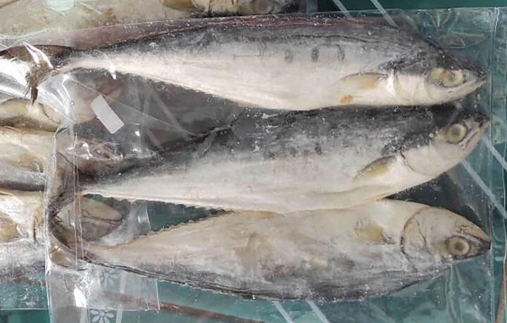 Ikan Asin Daun Bambu Talang Talang Awi Lazada Indonesia