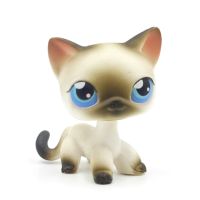 hot！【DT】❂  CAT Real animal Littlest pet shop head toys standing  5 grey short hair cat white siamese kitten with blue eyes