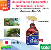 สเปรย์ My Rose ฆ่าศัตรูพืชและโรคของกุหลาบ ขนาด 950ml ช่วย กำจัดเพลี้ยแป้ง ราแป้ง ใบด่างดำ จัดส่งไว จากไทย แบรนด์ญี่ปุ่น