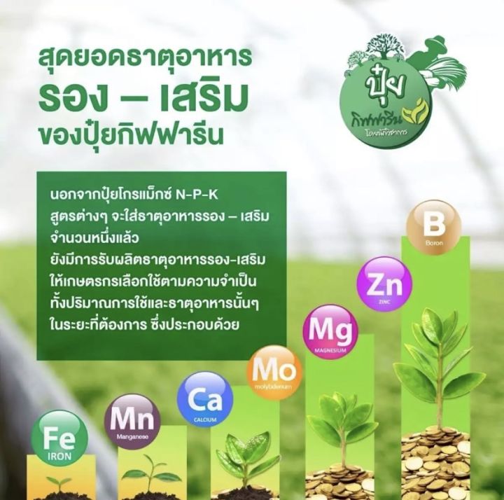 เซทพื้นฐานของการให้ปุ๋ยทางใบ-ปุ๋ยน้ำทางใบ-สารจับใบ-แคลเซียมโบรอน-แคลเซียมพืช-วัคซีนพืช-ปุ๋ยกิฟฟารีนแท้-100