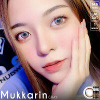 ร้านเลนส์สวยคอนแทค Wink Wow รุ่น Muk karin/สีChestnutน้ำตาล Grayจากเกาหลี มี อย.มีค่าสายตาและปกติ(แฟชั่นสุดHit ขายดี)