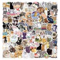 50/100ชิ้นสติกเกอร์แมวรูปสัตว์น่ารักแสนสนุกสำหรับการ์ตูนคาวาอี้ Diy เคสแล็ปท็อปรูปลอกสติกเกอร์โทรศัพท์