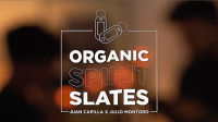 Organic Spirit Slates Trick โดย Julio Montoro Magic Trick Magician Close Up Illusion Magia Gimmick Prop Mentalism Magie Comedy