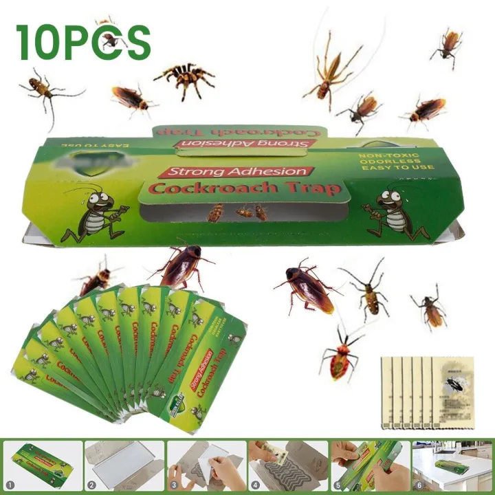 High Quality 10pcs Cockroach House Pest Trap Cockroach House Non Toxic ...