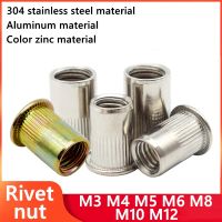 304 Stainless Steel Flat Head Rivet Nut M3 M4 M5 M6 M8 M10 M12 M14 Rivnut Zinc Plated Cap Rivet Threaded Nut Aluminum Rivet Nuts