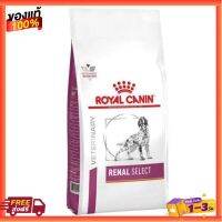 [2กก.] อาหารสุนัข Royal Canin Renal Select สำหรับไต กลิ่นพิเศษในแบบสุนัขเลือกกิน