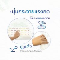 หมอน หมอนนอน หมอนเพื่อสุขภาพ หมอนยางพาราผสม Memory foam ลดกรน แก้ปวดคอ กันไรฝุ่น จัดกระดูกสันหลัง