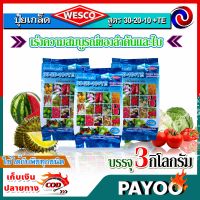 แพ็ค 3 กิโลกรัม WESCO ปุ๋ย 30-20-10 +TE (ธาตุรองเสริม) ปุ๋ยเกล็ด ปุ๋ยเกร็ด เวสโก้ เร่งความสมบูรณ์ของลำต้นและใบ