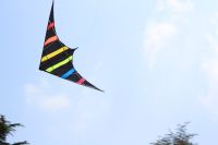 【cw】NEW Arrive 48 Inch Professional Dual Line Stunt Kite With Handle And Line Good Flying Factory Outlet ！