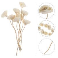 【cw】 Diffuser Sticks Rattan Fragrance Reed Stick Aromatherapy Refill Scent Preserved Accessories Air