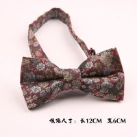 Jacquard mens floral stripes wedding photography bow tie suit accessories spring new bow spot Boys Clothing