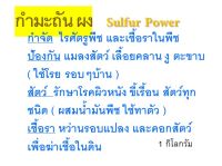 กำมะถันผง ผงกำมะถัน เหลือง ผงเหลือง สูตรพิเศษไล่งู ไล่สัตว์ ไล่แมลงคลาน ใช้กับพืช ไร เชื้อรา ใช้กับสัตว์ขี้เรื้อน โรงเรือน สัตว์