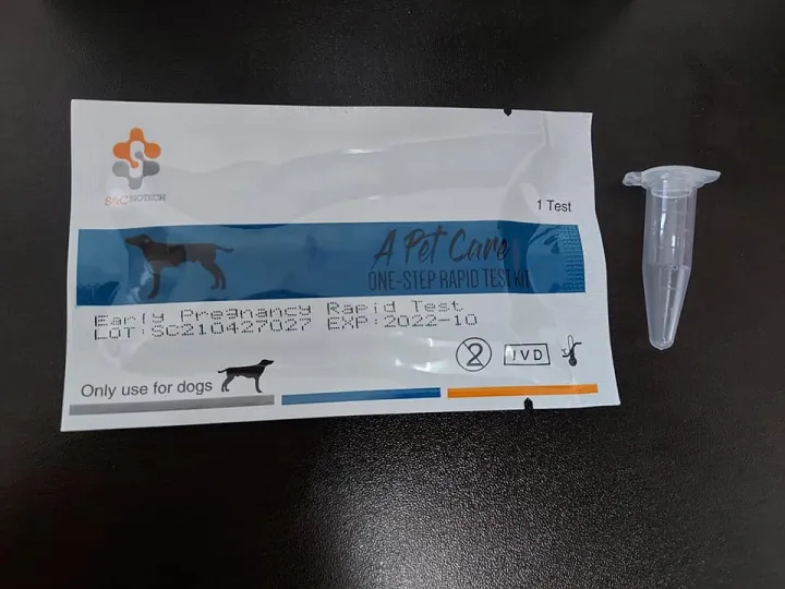 1Piece Pregnancy Test Kit for Dogs Lazada PH