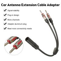 【CW】 30cm Car AM FM Antenna Splitter Y Adapter 2 Male 1 Female Extension Cable