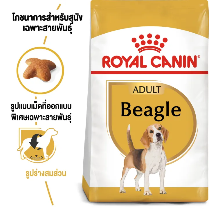 exp3-3-24-royal-canin-beagle-adult-12kg-สุนัขโตสายพันธุ์บีเกิ้ล