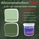 สีน้ำทาอาคารชนิดกึ่งเงา เฉดสีเขียวตุ่น IEC ALL SEASONS NANO TITANIUM