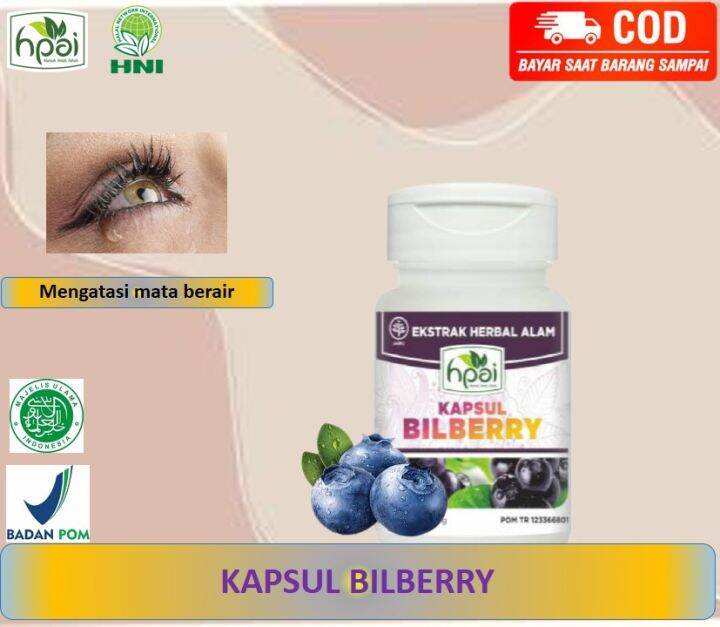 Mengatasi Mata Berair Kapsul Bilberry HNI HPAI Lazada Indonesia