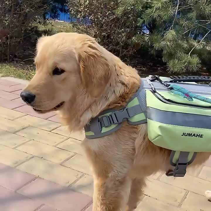SelfDeveloped Outdoor Dog Dog Backpack Dog Double Bag Snack Backpack