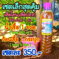 เชื้อเห็ดโคน,เห็ดปลวก นำ้เชื้อ 1 ขวด 600 . ก้อนเชื้อ 1 กระปุก 5 ก้อน เซตเล็ก สวนโสนเห็ดตับเต่า คุณนำ้หวาน