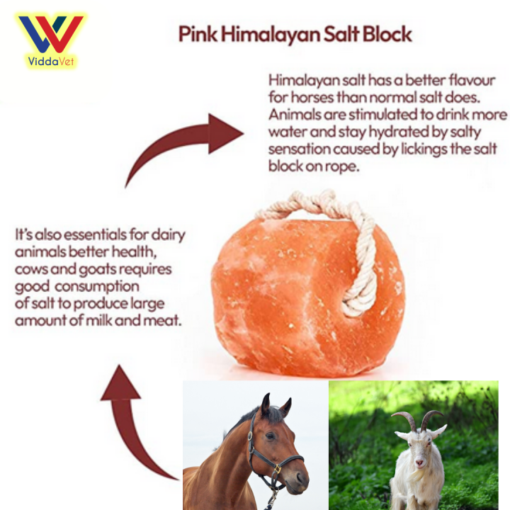 Natural Himalayan Salt Lick for Livestock Mineral Block for Cattle, Sheep, Goats, and Horses