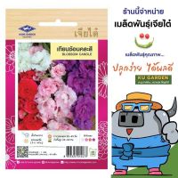 CHIATAI ?? ดอกไม้ เจียไต๋ H039#เทียนซ้อนคละสี  ดอกไม้ซอง ผักซอง เมล็ดพันธุ์ เมล็ดพันธุ์ผัก  เมล็ดพันธุ์ดอกไม้ ดอกไม้เจียไต๋ ตราเครื่องบิน