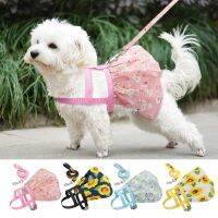 ♚♀┅ Harnesses Small Pet Leashes