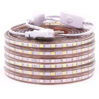 SMD5050 LED Strip 220V 60Leds/M Rion ไดโอด OFF/ON สวิทช์ IP67กันน้ำกลางแจ้ง LED สีขาวอุ่นสีขาว