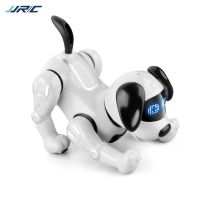 【CC】 Rc Dog Animals Radio 2.4G Programable Children for Boy Kids