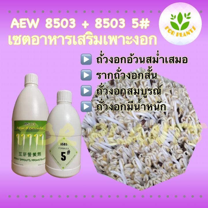 forplants-8503-เซต-ฮอร์โมน8503-ขวดใหญ่1000cc-พร้อม-8503-5-ขวดเล็ก-500cc-รวม2ชิ้น-ฮอร์โมนเพาะงอก-ฮอร์โมนถั่วงอก-เพาะถั่วงอก-ถั่วงอกอ้วน-ถั่วงอกรากสั้น