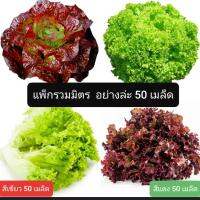 เมล็ดพันธุ์ผักสลัดรวมมิตร เขียว+แดง อย่างล่ะ 50 เมล็ด ซื้อ 3แถม1