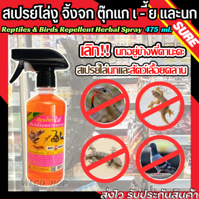 สเปรย์ไล่งู สเปรย์ไล่ตุ๊กแก สเปรย์ไล่จิ้งจก สเปรย์ไล่นก 475 ml. ออแกนิค Sure 100% ใช้เพื่อไล่สัตว์เลื้อยคลาน ตะกวด นกพิราบ Anti Snakes Anti Bird Spray
