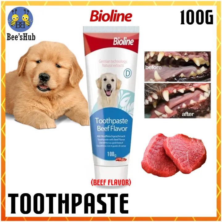 do you need toothpaste for dogs