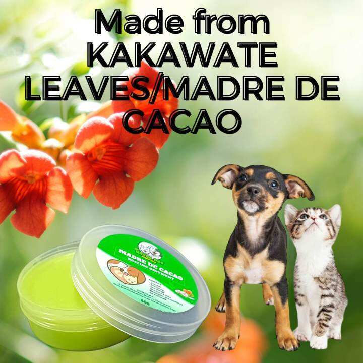 bryel-pet-madre-de-cacao-ointment-madre-de-cacao-ointment-cream-60g